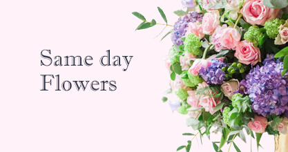 Same day Flowers 